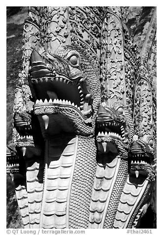 Nagas at Wat Chedi Luang. Chiang Mai, Thailand (black and white)