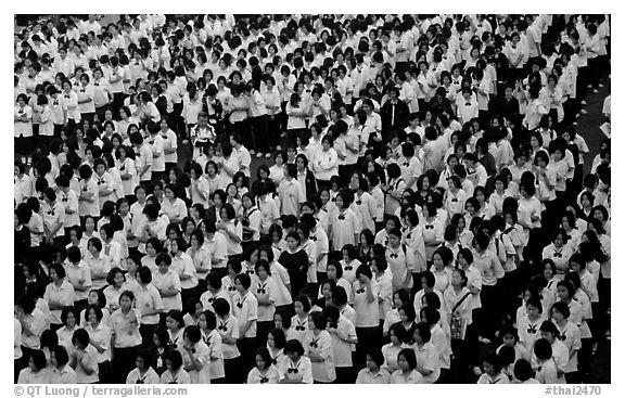 Rows of uniformed school girls lined up during prayer. Chiang Rai, Thailand (black and white)