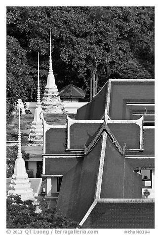 Temple and chedis from above. Bangkok, Thailand (black and white)