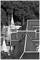 Temple and chedis from above. Bangkok, Thailand ( black and white)