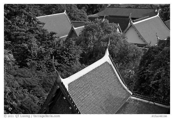 Thai-style temple rooftops emerging from trees. Bangkok, Thailand (black and white)