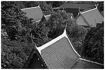 Thai-style temple rooftops emerging from trees. Bangkok, Thailand ( black and white)