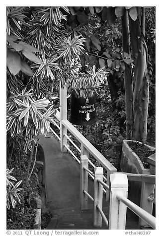 Path, Golden Mount. Bangkok, Thailand (black and white)