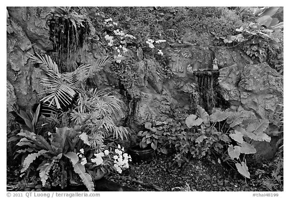 Flowers and cascade, Golden Mount. Bangkok, Thailand (black and white)