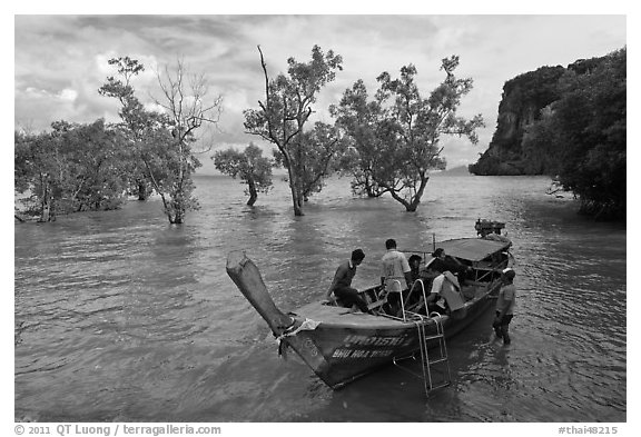 Boat boarding amongst mangroves, Ao Railay East. Krabi Province, Thailand