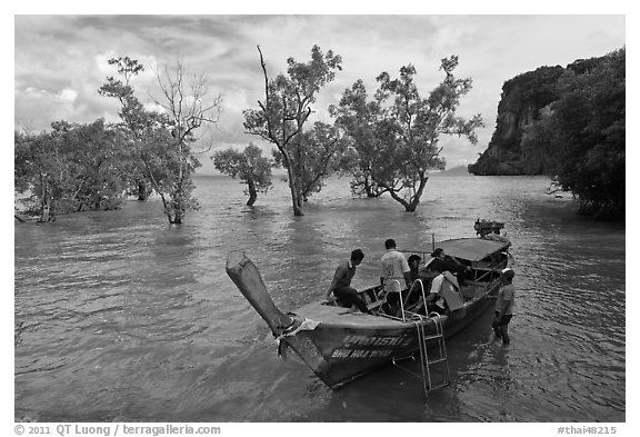 Boat boarding amongst mangroves, Ao Railay East. Krabi Province, Thailand (black and white)