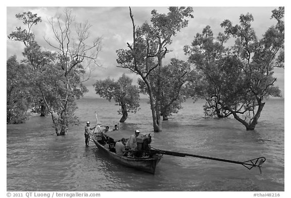 Longtail boat set to depart through mangroves, Rai Leh. Krabi Province, Thailand (black and white)