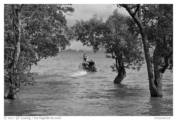 Mangroves and boat in distance, Ao Rai Leh East. Krabi Province, Thailand (black and white)