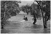 Mangroves and boat in distance, Ao Rai Leh East. Krabi Province, Thailand (black and white)