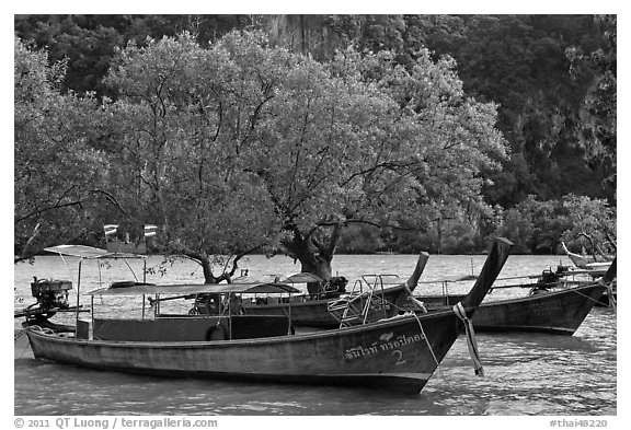 Boats, mangroves, and cliff, Rai Leh East. Krabi Province, Thailand (black and white)