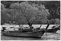 Boats, mangroves, and cliff, Rai Leh East. Krabi Province, Thailand (black and white)