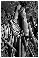 Carved wooden phalluses, Phranang cave, Rai Leh. Krabi Province, Thailand ( black and white)