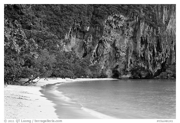 Pranang Cave Beach and limestone cliff, Railay. Krabi Province, Thailand (black and white)