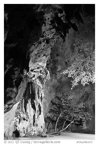 Cliff and trees at night. Krabi Province, Thailand (black and white)