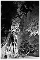 Cliff and trees at night. Krabi Province, Thailand (black and white)