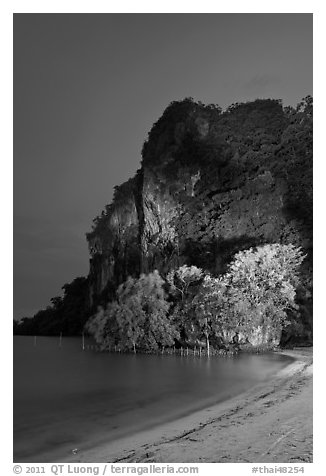 Railay East beach at night. Krabi Province, Thailand (black and white)