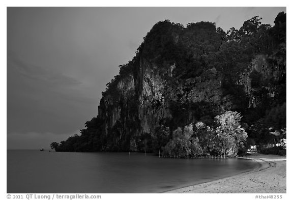 Cliffs and trees at night, Rai Leh East. Krabi Province, Thailand (black and white)