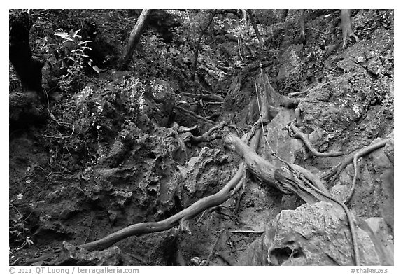 Steep path with ropes, Railay. Krabi Province, Thailand (black and white)