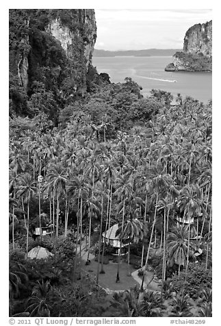 Resort huts, palm trees, and bay seen from Laem Phra Nang, Railay. Krabi Province, Thailand