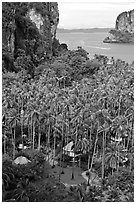 Resort huts, palm trees, and bay seen from Laem Phra Nang, Railay. Krabi Province, Thailand (black and white)