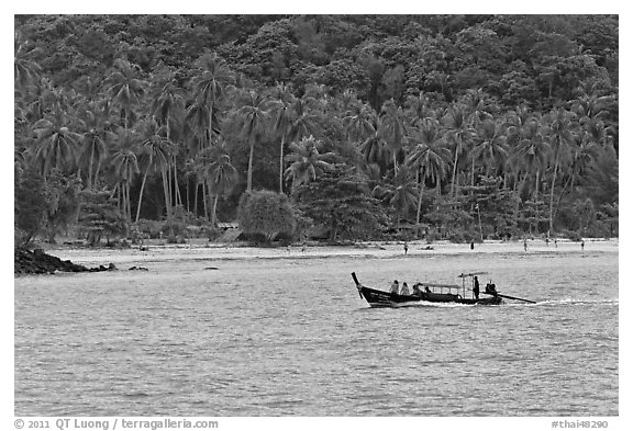 Longtail boat sailing in front of palm-fringed beach, Phi-Phi island. Krabi Province, Thailand (black and white)