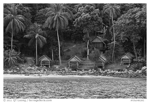 Beachfront huts and palm trees, Ko Phi-Phi Don. Krabi Province, Thailand (black and white)