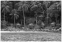 Beachfront huts and palm trees, Ko Phi-Phi Don. Krabi Province, Thailand ( black and white)