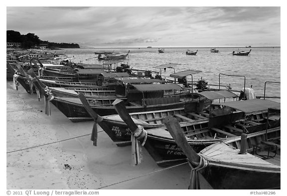 Longtail boats lined up, Ao Ton Sai, Ko Phi Phi. Krabi Province, Thailand