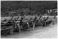 Row of long tail boats on Lo Dalam beach, Phi-Phi island. Krabi Province, Thailand (black and white)