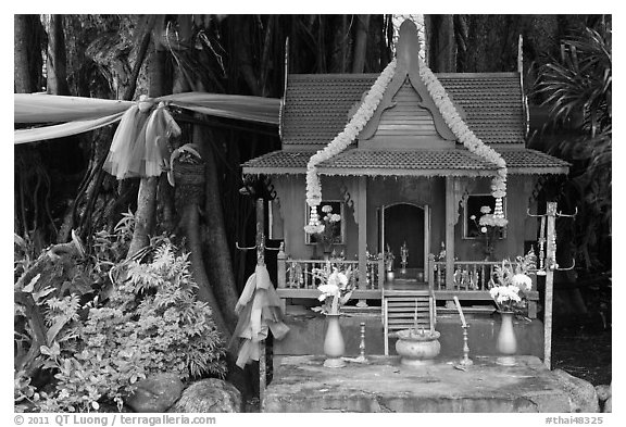 Spirit house and banyan roots, Phi-Phi island. Krabi Province, Thailand (black and white)