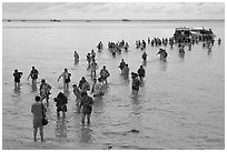 Crowd walking in water, Ko Phi-Phi island. Krabi Province, Thailand (black and white)