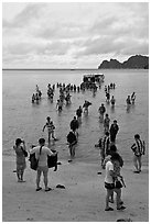 Large group of tourists disembarking from boats, Ko Phi-Phi Don. Krabi Province, Thailand ( black and white)