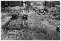 Muslim graveyard, Ko Phi-Phi Don. Krabi Province, Thailand ( black and white)