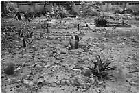 Islamic cemetery, Ko Phi Phi. Krabi Province, Thailand ( black and white)