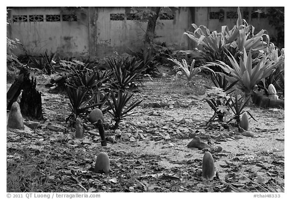 Islamic graveyard, Phi-Phi island. Krabi Province, Thailand