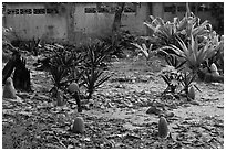 Islamic graveyard, Phi-Phi island. Krabi Province, Thailand ( black and white)