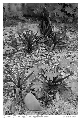 Low profile tombs in muslim cemetery, Ko Phi-Phi island. Krabi Province, Thailand