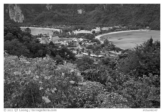 Flowers and isthmus , Phi-Phi island. Krabi Province, Thailand (black and white)