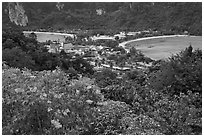 Flowers and isthmus , Phi-Phi island. Krabi Province, Thailand ( black and white)