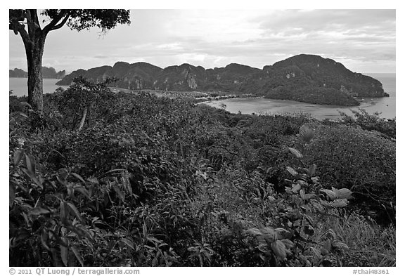 Tropical vegetation, bay, and hills, Ko Phi-Phi Don. Krabi Province, Thailand (black and white)
