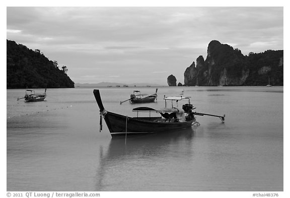 Long Tail boats moored in bay, early morning, Ko Phi Phi. Krabi Province, Thailand (black and white)