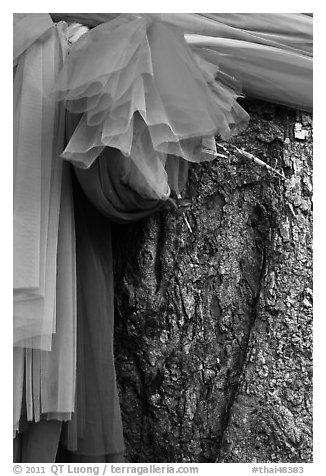 Colored ribbons on banyan tree, Ko Phi-Phi Don. Krabi Province, Thailand (black and white)