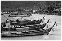 Long tail boats Tonsai beach and village, Ko Phi Phi. Krabi Province, Thailand (black and white)