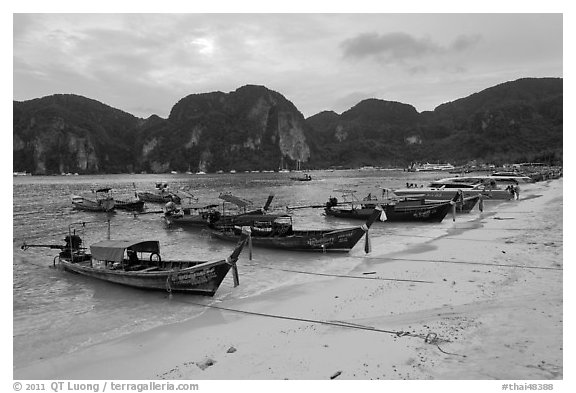 Longtail boats, Tonsai beach, Ko Phi Phi. Krabi Province, Thailand (black and white)