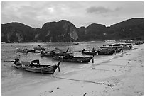 Longtail boats, Tonsai beach, Ko Phi Phi. Krabi Province, Thailand (black and white)