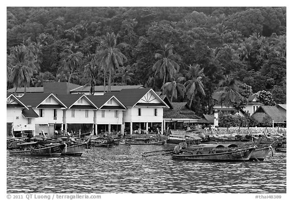 Houses and hillside, Ton Sai, Phi-Phi island. Krabi Province, Thailand (black and white)