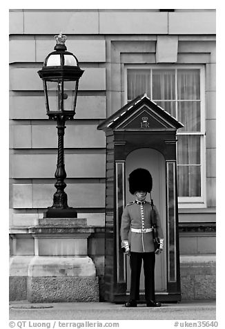 Guard and guerite, Buckingham Palace. London, England, United Kingdom
