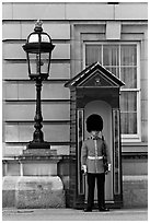 Guard and guerite, Buckingham Palace. London, England, United Kingdom (black and white)