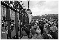 Crowds at the grids in front of Buckingham Palace watching the changing of the guard. London, England, United Kingdom ( black and white)