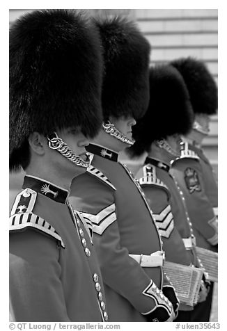 Musicians of the Guard  with tall bearskin hat and red uniforms. London, England, United Kingdom (black and white)